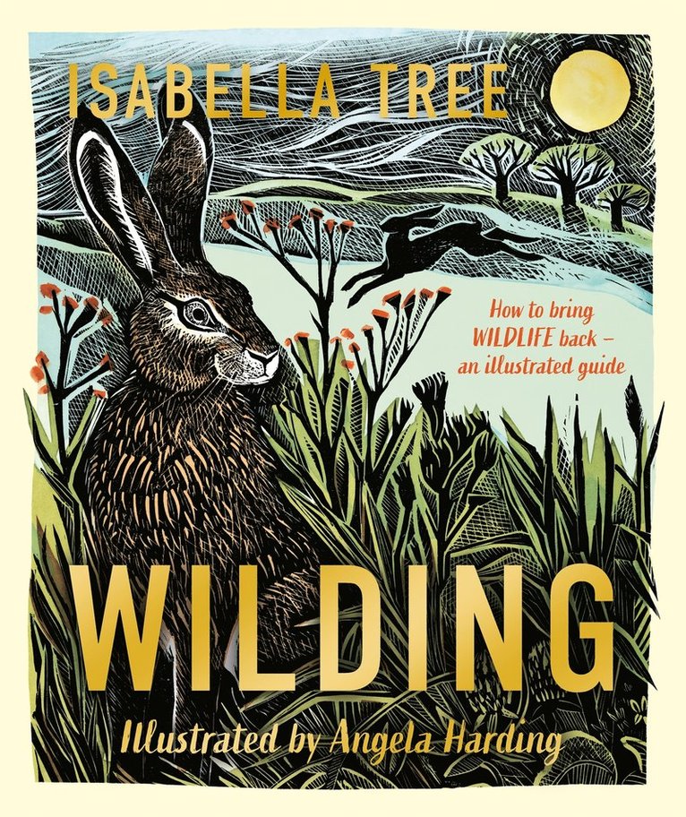 Wilding: How to Bring Wildlife Back - an Illustrated Guide 1