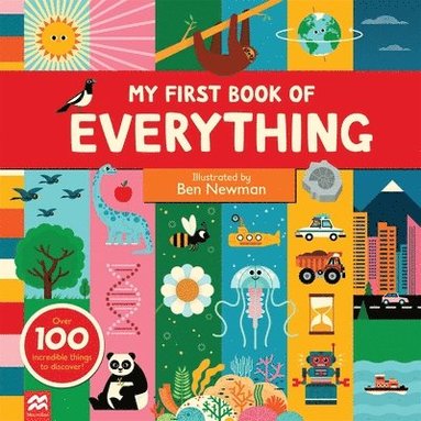 bokomslag My First Book of Everything