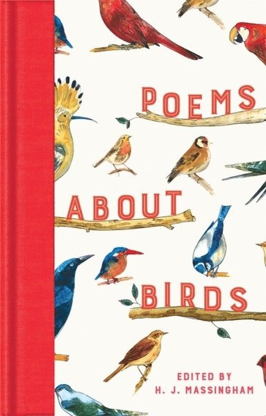 bokomslag Poems About Birds