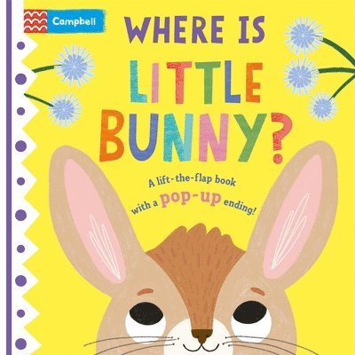 Where is Little Bunny? 1