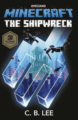 bokomslag Minecraft: The Shipwreck