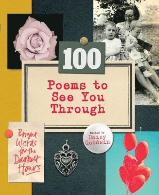 Daisy Goodwin - 100 Poems To See You Through, Häftad