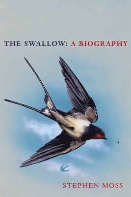 bokomslag The Swallow