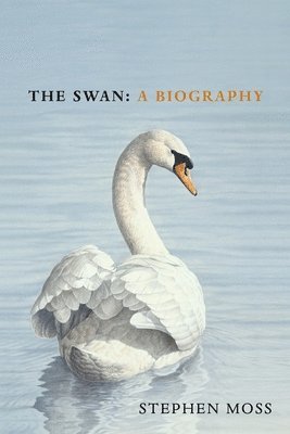 bokomslag The Swan