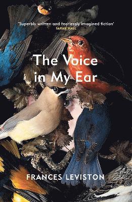 The Voice in My Ear 1