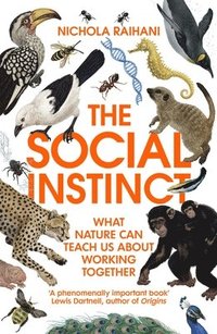 bokomslag The Social Instinct