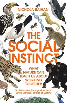 The Social Instinct 1