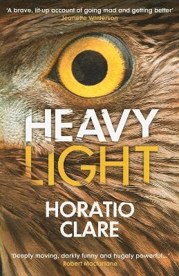 Heavy Light 1