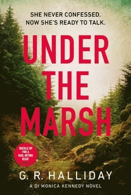 Under the Marsh