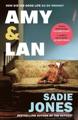 Sadie Jones - Amy and Lan, Häftad