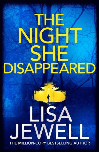bokomslag The Night She Disappeared