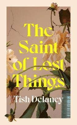bokomslag The Saint of Lost Things