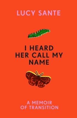 bokomslag Sante, L: I Heard Her Call My Name