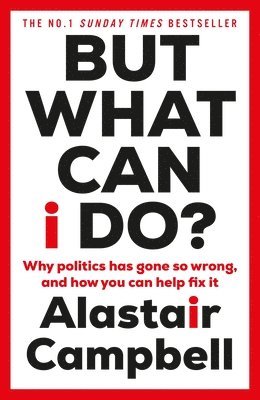 bokomslag But What Can I Do? : Why Politics Has Gone So Wrong, and How You Can Help Fix It