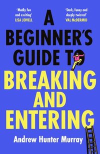 bokomslag Beginner's Guide To Breaking And Entering