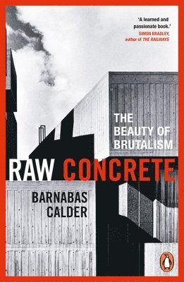 bokomslag Raw Concrete