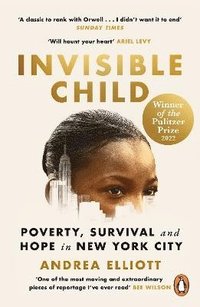 bokomslag Invisible Child
