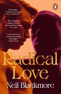 bokomslag Radical Love