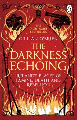 Dr Gillian O'Brien, Gillian O'Brien - The Darkness Echoing, Häftad