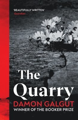 bokomslag The Quarry