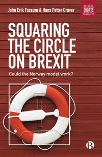 bokomslag Squaring the Circle on Brexit