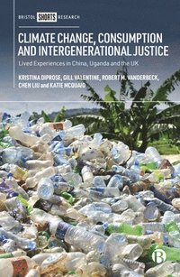 bokomslag Climate Change, Consumption and Intergenerational Justice