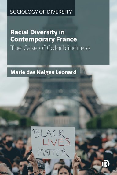 bokomslag Racial Diversity in Contemporary France