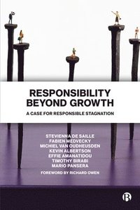 bokomslag Responsibility Beyond Growth