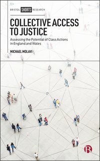 bokomslag Collective Access to Justice