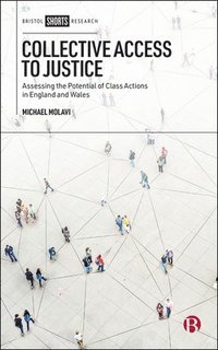 bokomslag Collective Access to Justice