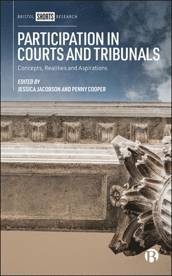 bokomslag Participation in Courts and Tribunals