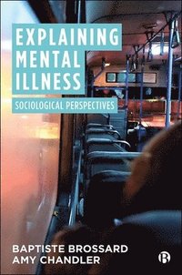 bokomslag Explaining Mental Illness