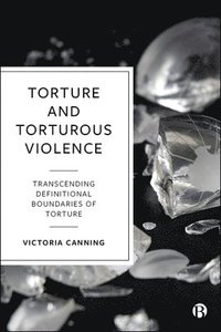 bokomslag Torture and Torturous Violence