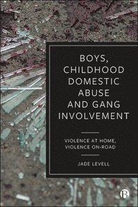 bokomslag Boys, Childhood Domestic Abuse and Gang Involvement