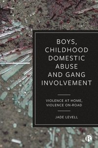 bokomslag Boys, Childhood Domestic Abuse and Gang Involvement