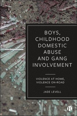 Boys, Childhood Domestic Abuse and Gang Involvement 1