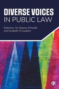 bokomslag Diverse Voices in Public Law