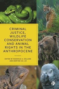 bokomslag Criminal Justice, Wildlife Conservation and Animal Rights in the Anthropocene