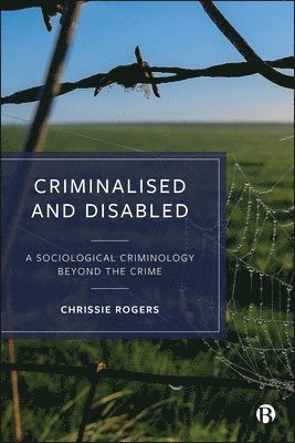 bokomslag Criminalised and Disabled