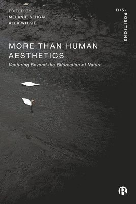 Melanie Sehgal, Alex Wilkie - More-Than-Human Aesthetics, Häftad