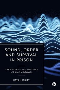 bokomslag Sound, Order and Survival in Prison