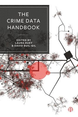 bokomslag Crime Data Handbook