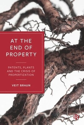 Veit Braun, Veit (Goethe University Frankfurt am Main) Braun - At the End of Property, Inbunden