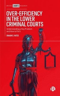 bokomslag Over-Efficiency in the Lower Criminal Courts