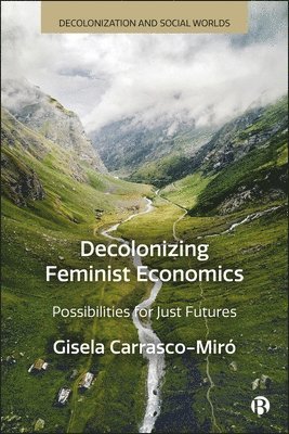 bokomslag Decolonizing Feminist Economics