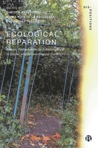 bokomslag Ecological Reparation