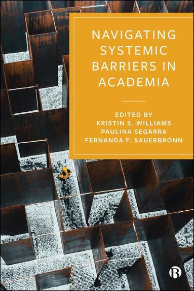 Kristin S. Williams, Paulina Segarra, Fernanda F. Sauerbronn - Navigating Systemic Barriers in Academia, Inbunden