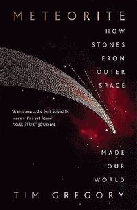 bokomslag Meteorite: How Stones From Outer Space Made Our World