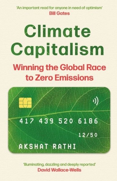 bokomslag Climate Capitalism