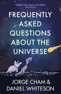 bokomslag Frequently Asked Questions About the Universe